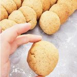 شیرینی های vegnook-کوکی وانیل ساده وگنوک