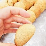 کوکی وانیل ساده وگنوک-vegnook